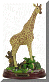 29018.gif (30663 bytes)