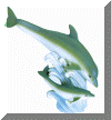 29174.gif (23587 bytes)
