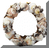 29346.gif (44113 bytes)