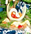 Img24-c-saver-1.jpg (11040 bytes)